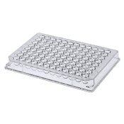 96-Well Plate